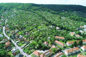 Schräges Luftbild von grünen Gärten; im Hintergrund ein Wald.